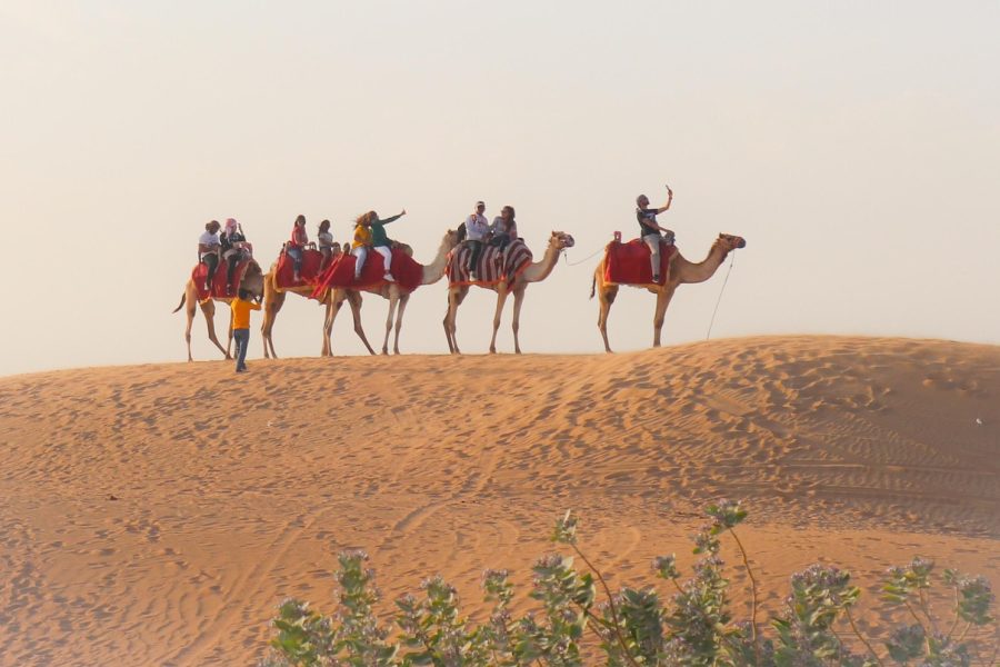 Morning Desert Safari Dubai
