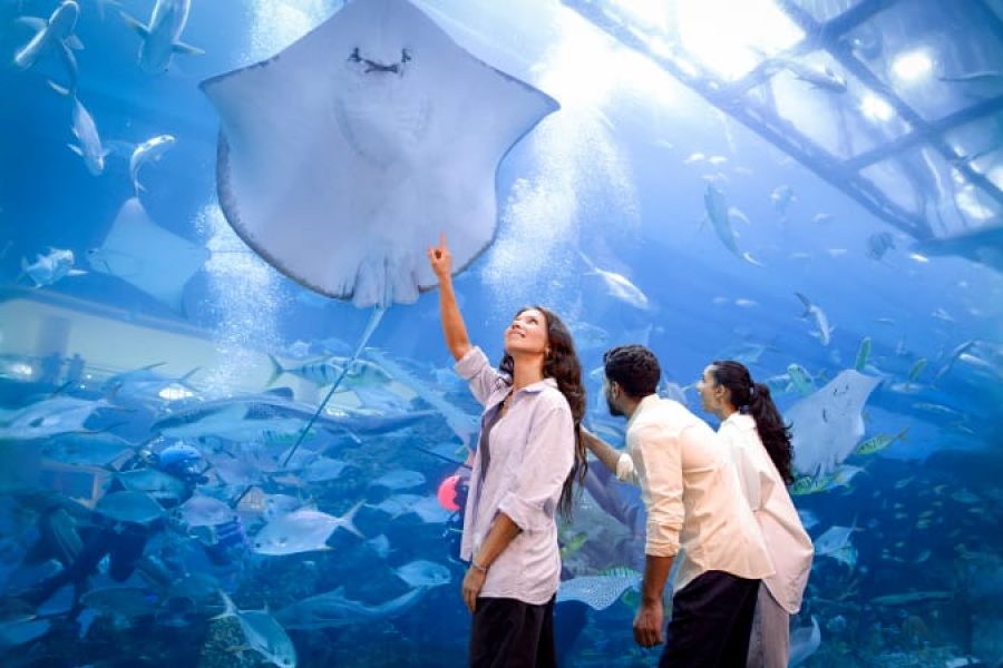 Dubai Aquarium & Underwater Zoo at Dubai Mall