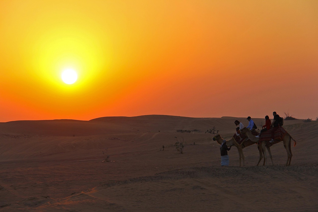 Dubai Desert Safari Guide - Golden sand dunes at sunset