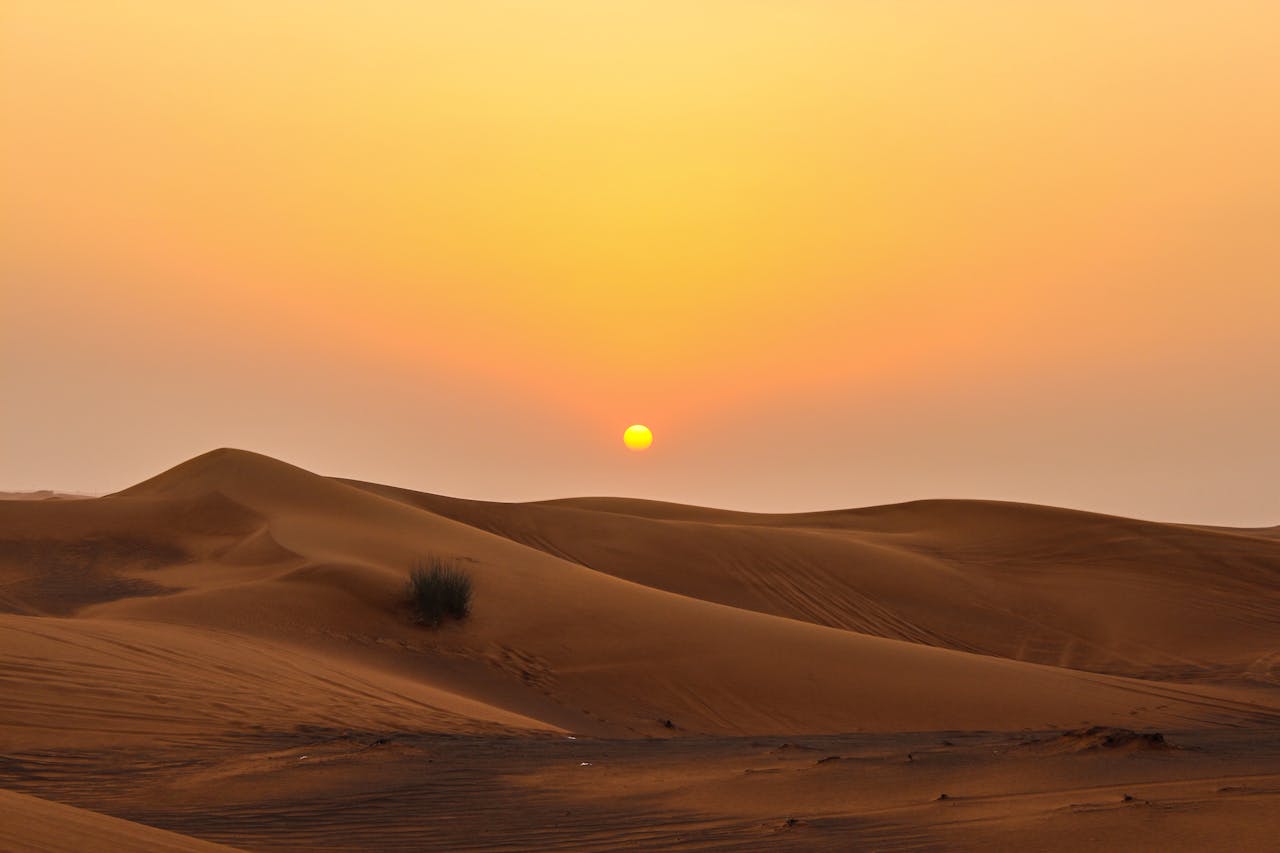 Evening vs overnight desert safari comparison