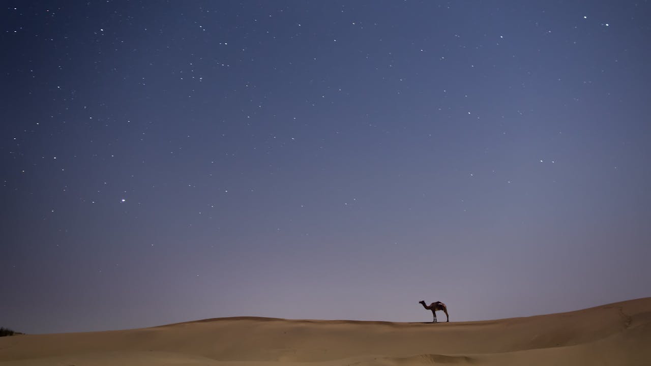 Desert camping in Dubai different seasons